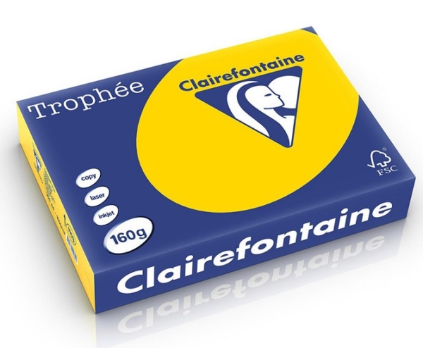 Kopiopaperi A4 160g 250 arkkia kullankeltainen Trophee 1103