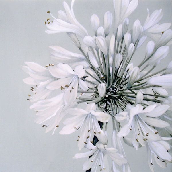 SERVETTI 33 CM – White beauty