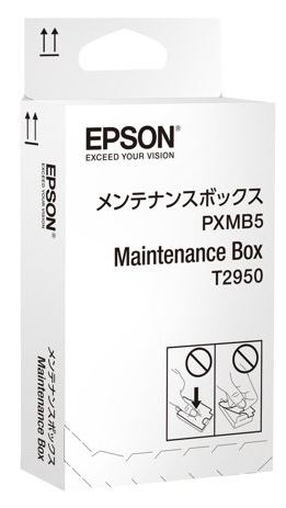 Epson WorkForce WF-100W,T2950,huoltoyksikkö