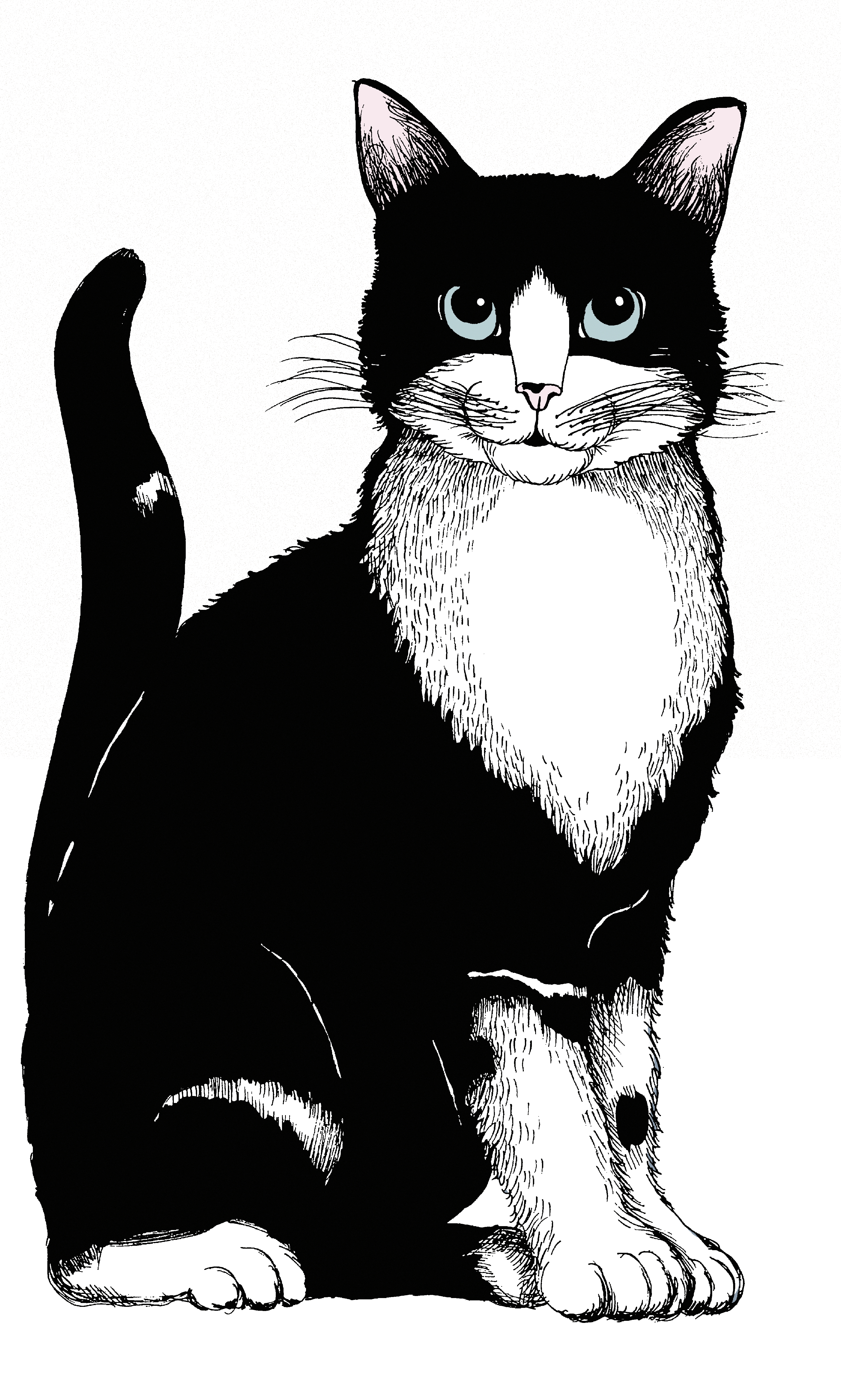 HEIJASTIN C VALLILA KITTIES EMO