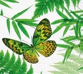 SERVETTI 33 CM – FLYING BUTTERFLY