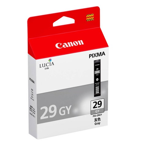 CANON MUSTEPATRUUNA PGI-29GY INK GREY