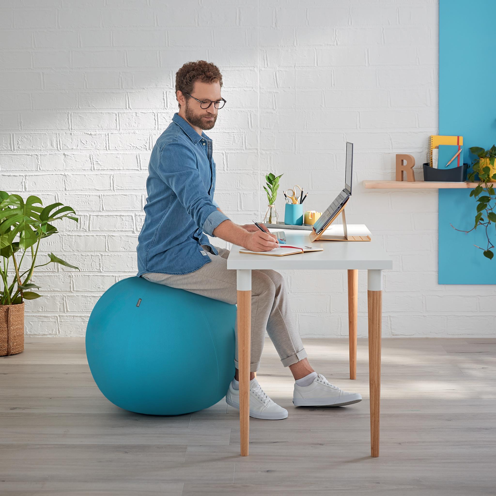 LEITZ ERGO COSY AKTIIVIPALLO SININEN - Image 2
