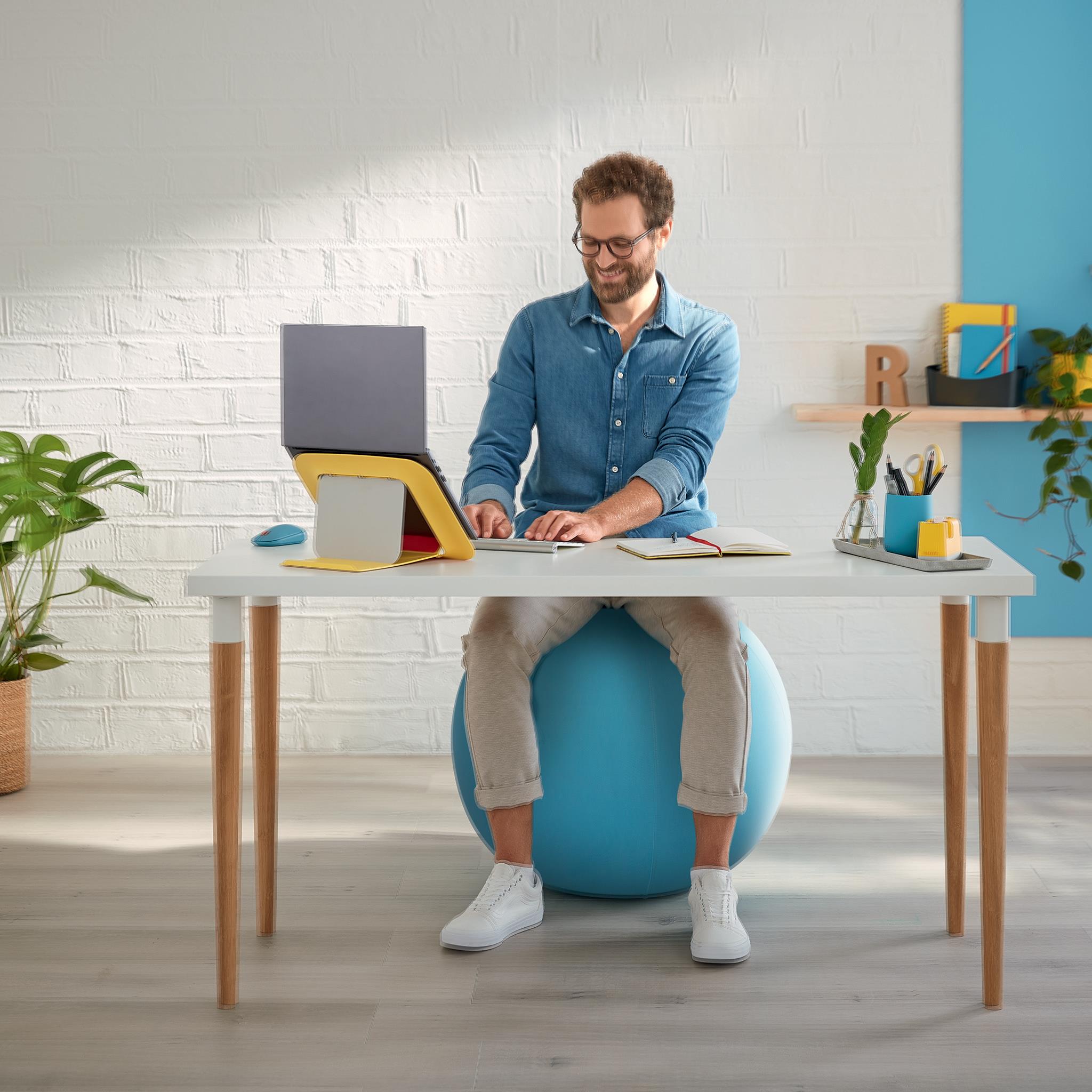 LEITZ ERGO COSY AKTIIVIPALLO SININEN - Image 9