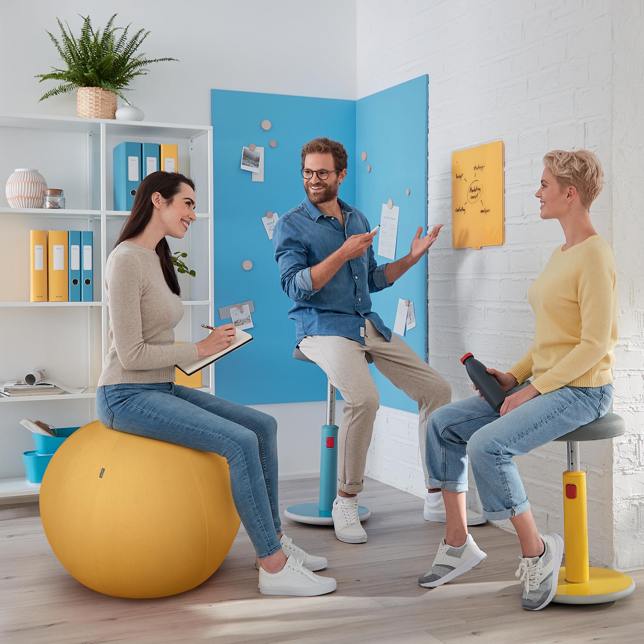 LEITZ ERGO COSY AKTIIVIPALLO SININEN - Image 11