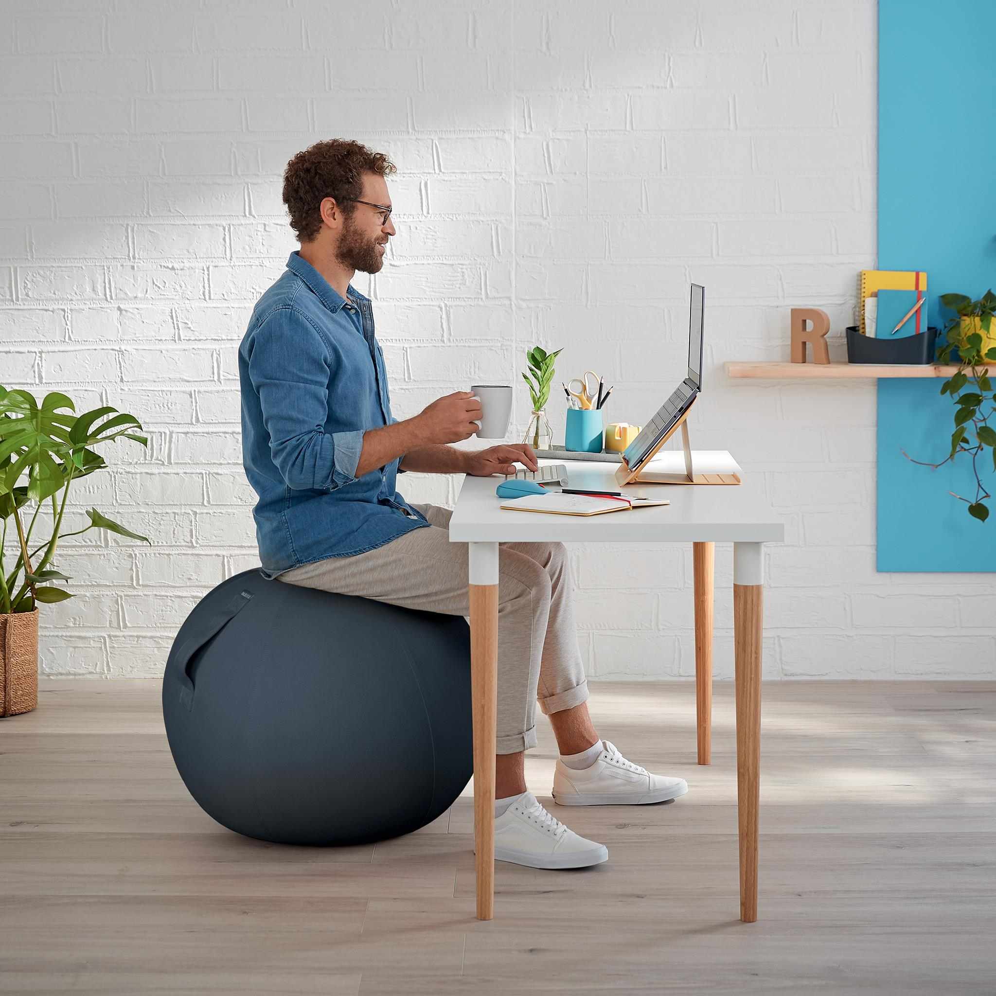 LEITZ ERGO COSY AKTIIVIPALLO HARMAA - Image 2